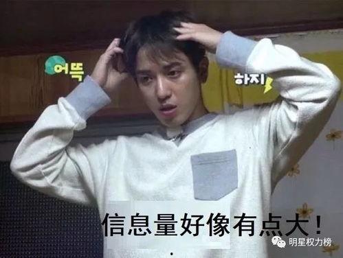 郑容和搞笑,笑点满满，欢乐无限