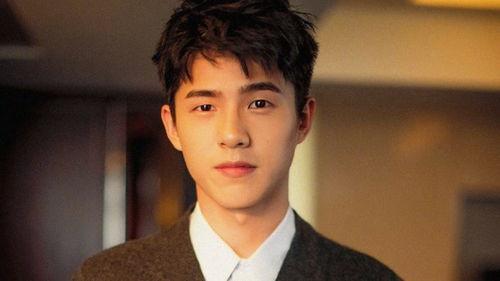 刘昊然的个人资料,青春偶像的蜕变之路