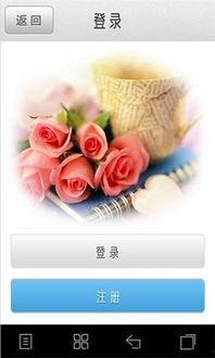 红玫瑰娱乐,璀璨星光下的娱乐王国